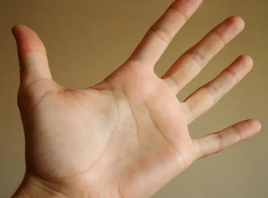 男人左手手掌三条线正确图解 左手手掌三条线代表什么命运